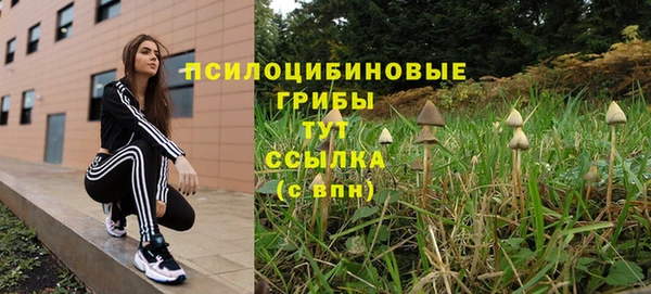 а пвп мука Елабуга