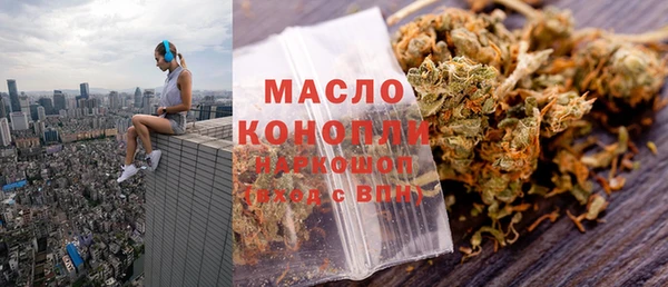 индика Иннополис