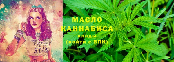 молекула духа Осинники