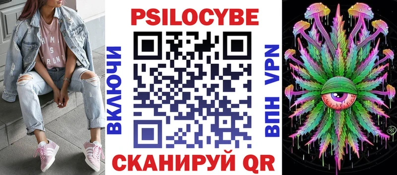 закладка  Колпашево  Псилоцибиновые грибы Psilocybe 